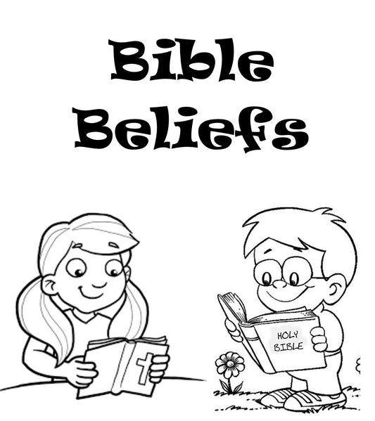 Bible Beliefs student book