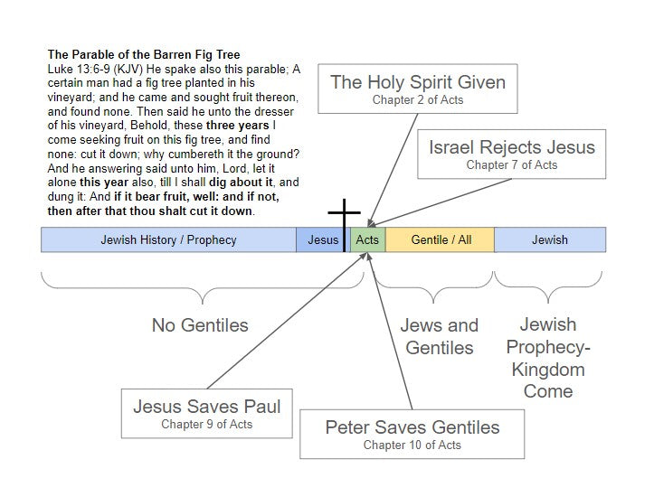 How Your Bible is Arranged - FREE