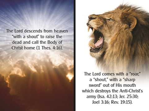 Booklet: The Rapture vs. The Second Coming